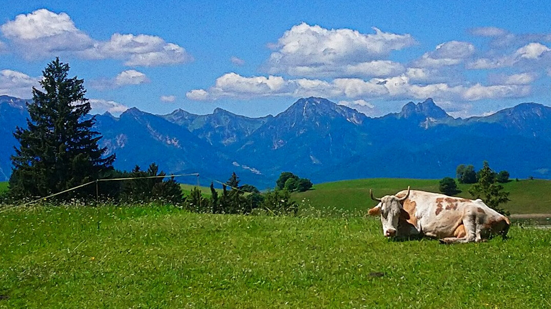 rural german landscape