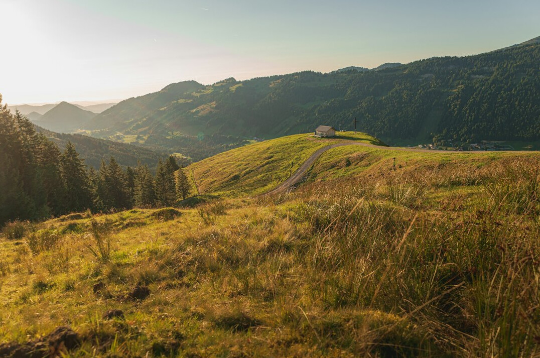 german landscape under climate stress