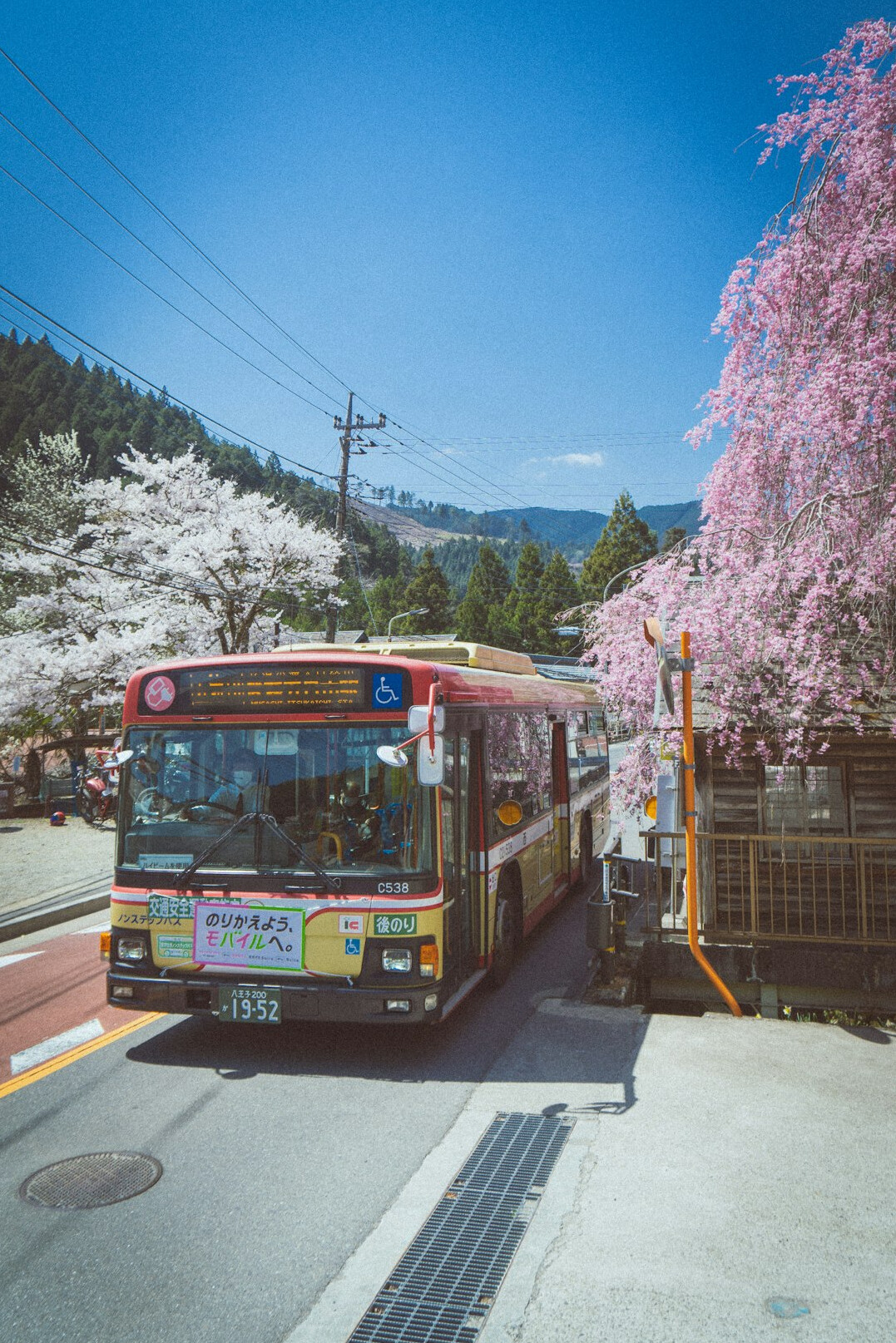 rural bus stop